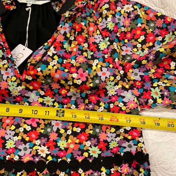 *NWT* Crosby By Mollie Burch Isabelle Dress in Tea Garden - Picture 10 of 12